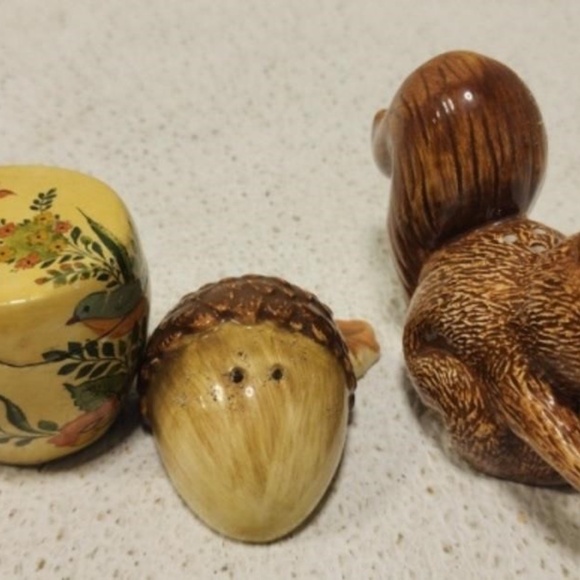 Fall Decor Salt Pepper Shakers Treasure Box Autumn Home Kitchen Squirrel Acorn - Picture 3 of 14
